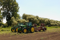 The Farm 2