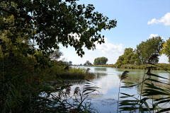 The Marsh 3