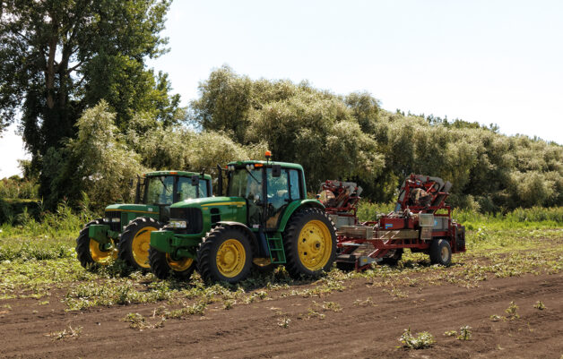 Agriculture