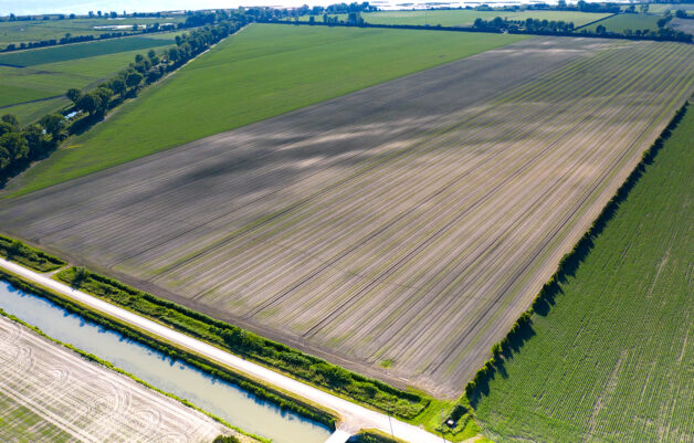Agriculture