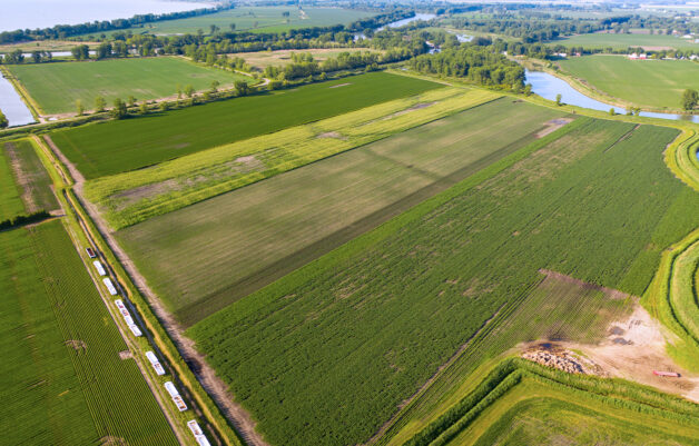 Agriculture