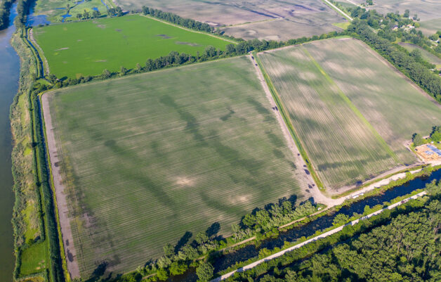 Agriculture