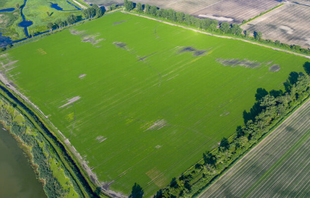 Agriculture