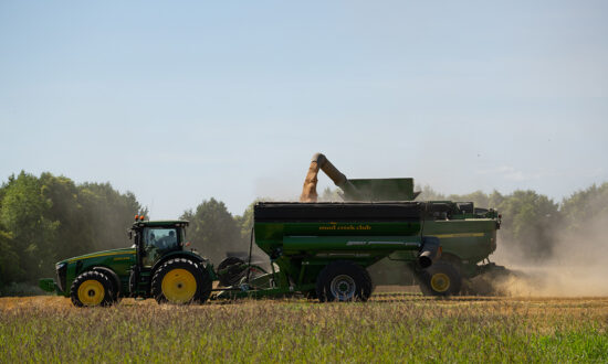 New-Agriculture-8