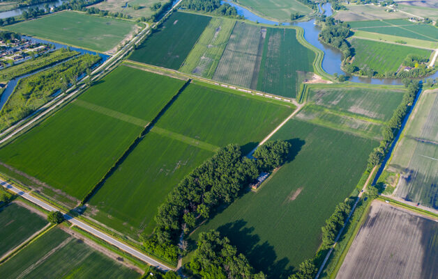 Agriculture