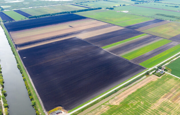 Agriculture