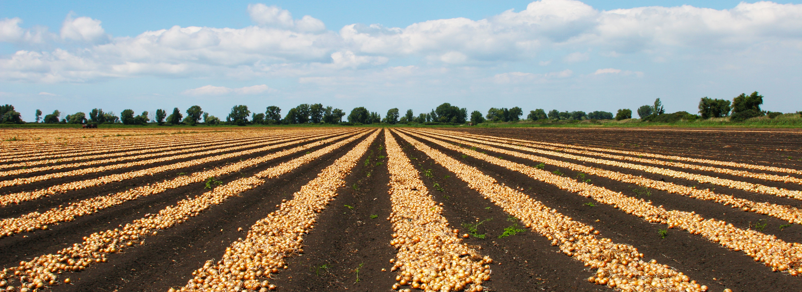 Agriculture